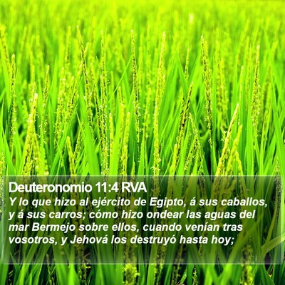 Deuteronomio 11:4 RVA Bible Verse Image