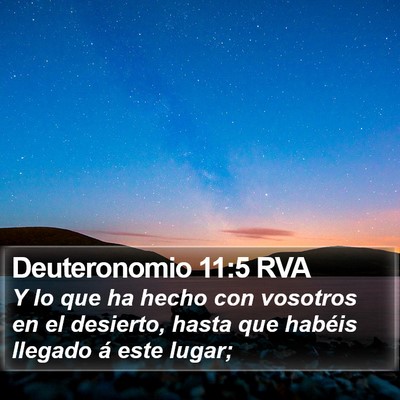 Deuteronomio 11:5 RVA Bible Verse Image