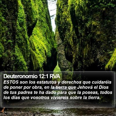 Deuteronomio 12:1 RVA Bible Verse Image
