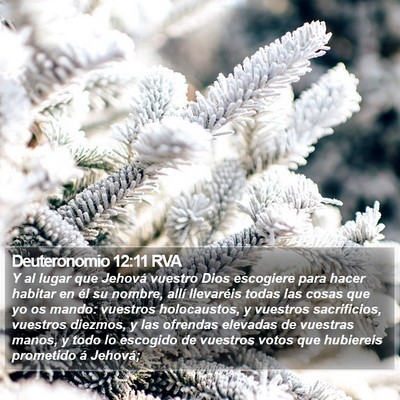Deuteronomio 12:11 RVA Bible Verse Image