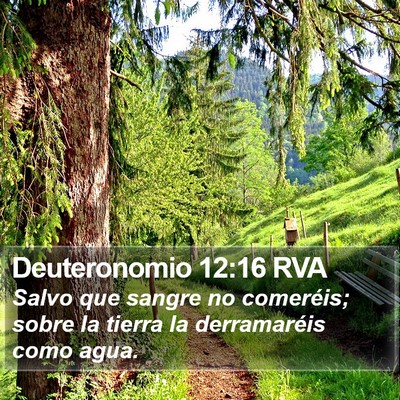 Deuteronomio 12:16 RVA Bible Verse Image