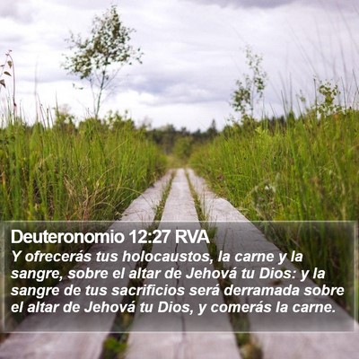 Deuteronomio 12:27 RVA Bible Verse Image