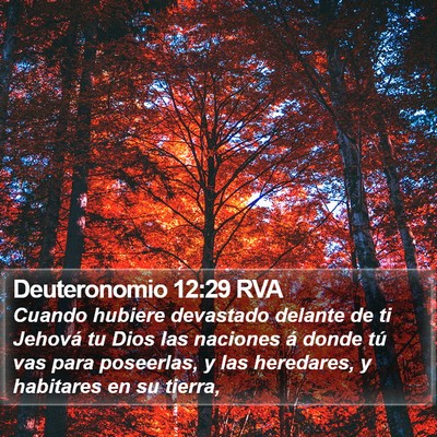 Deuteronomio 12:29 RVA Bible Verse Image