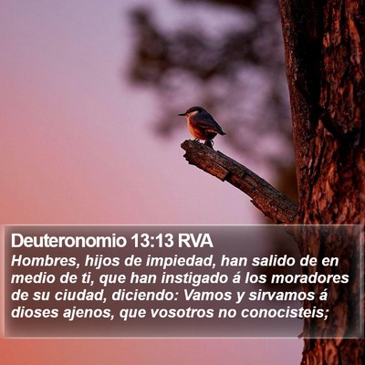 Deuteronomio 13:13 RVA Bible Verse Image