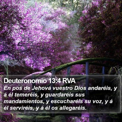 Deuteronomio 13:4 RVA Bible Verse Image