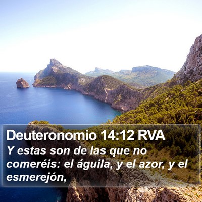 Deuteronomio 14:12 RVA Bible Verse Image