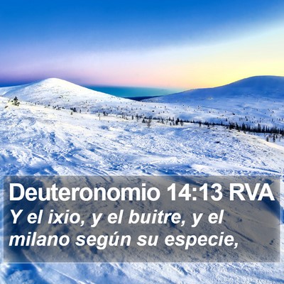 Deuteronomio 14:13 RVA Bible Verse Image