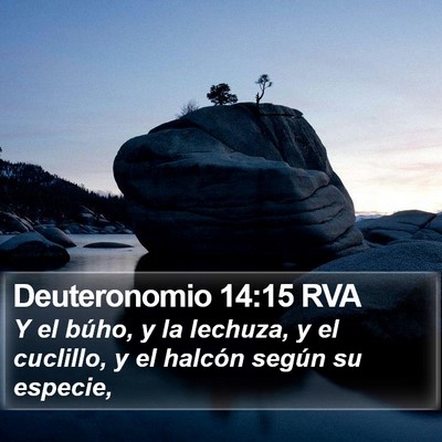Deuteronomio 14:15 RVA Bible Verse Image