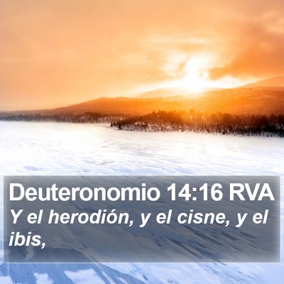 Deuteronomio 14:16 RVA Bible Verse Image