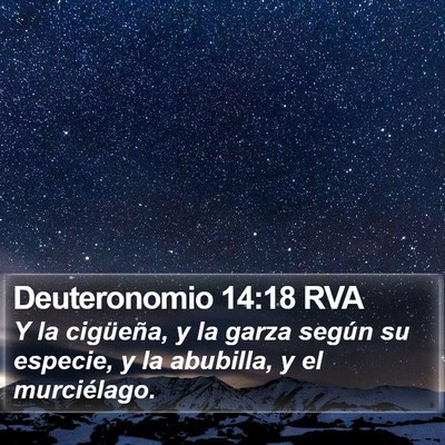 Deuteronomio 14:18 RVA Bible Verse Image