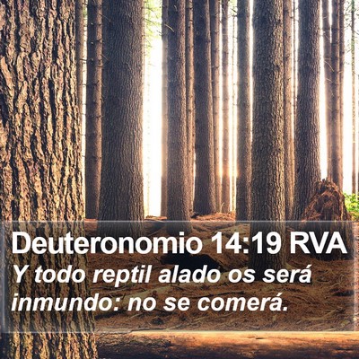 Deuteronomio 14:19 RVA Bible Verse Image