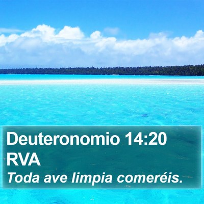 Deuteronomio 14:20 RVA Bible Verse Image