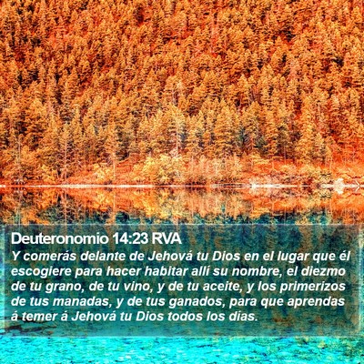 Deuteronomio 14:23 RVA Bible Verse Image