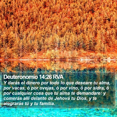 Deuteronomio 14:26 RVA Bible Verse Image