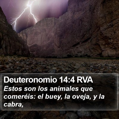 Deuteronomio 14:4 RVA Bible Verse Image