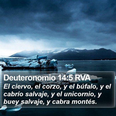 Deuteronomio 14:5 RVA Bible Verse Image