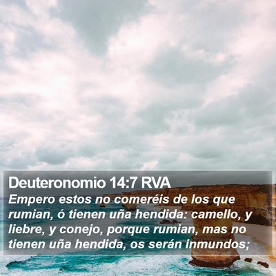 Deuteronomio 14:7 RVA Bible Verse Image