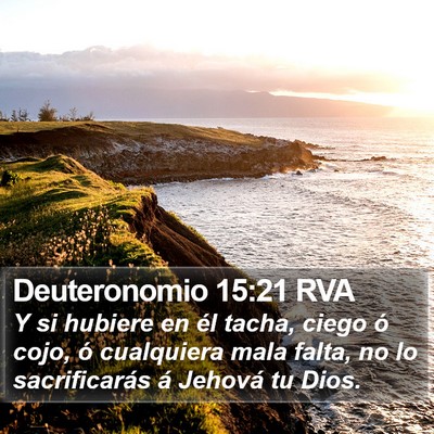 Deuteronomio 15:21 RVA Bible Verse Image