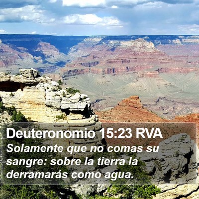 Deuteronomio 15:23 RVA Bible Verse Image