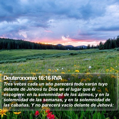 Deuteronomio 16:16 RVA Bible Verse Image