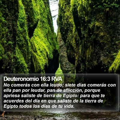 Deuteronomio 16:3 RVA Bible Verse Image