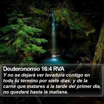 Deuteronomio 16:4 RVA Bible Verse Image