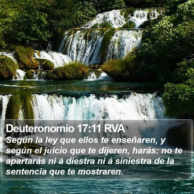 Deuteronomio 17:11 RVA Bible Verse Image