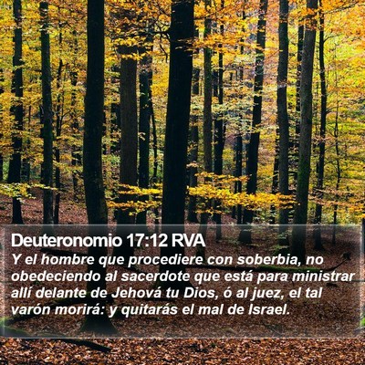 Deuteronomio 17:12 RVA Bible Verse Image