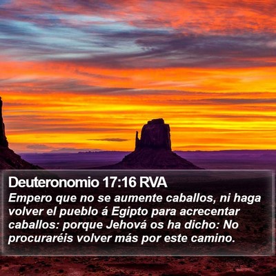 Deuteronomio 17:16 RVA Bible Verse Image
