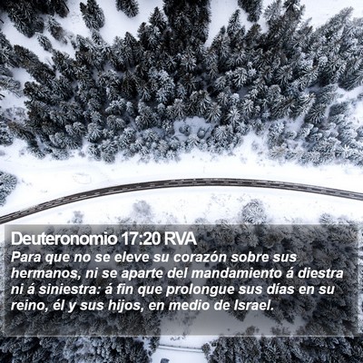 Deuteronomio 17:20 RVA Bible Verse Image