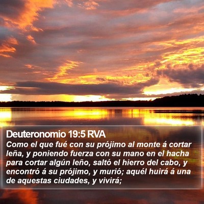 Deuteronomio 19:5 RVA Bible Verse Image