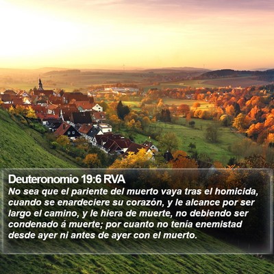 Deuteronomio 19:6 RVA Bible Verse Image