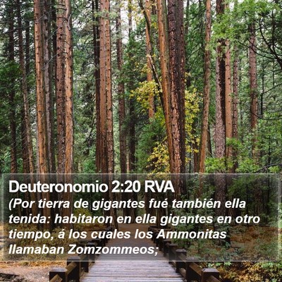Deuteronomio 2:20 RVA Bible Verse Image