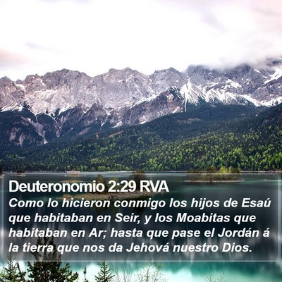 Deuteronomio 2:29 RVA Bible Verse Image