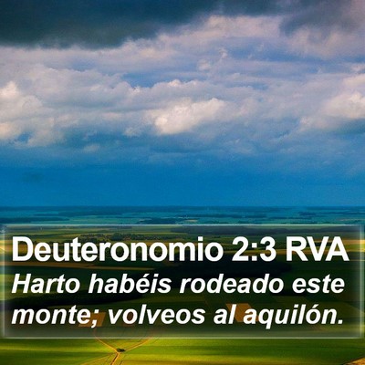 Deuteronomio 2:3 RVA Bible Verse Image