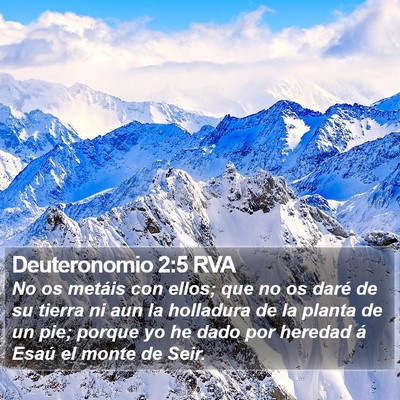 Deuteronomio 2:5 RVA Bible Verse Image