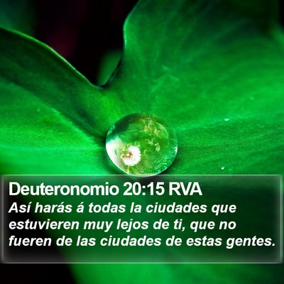 Deuteronomio 20:15 RVA Bible Verse Image