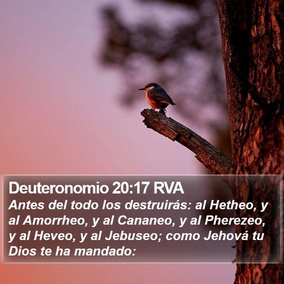Deuteronomio 20:17 RVA Bible Verse Image