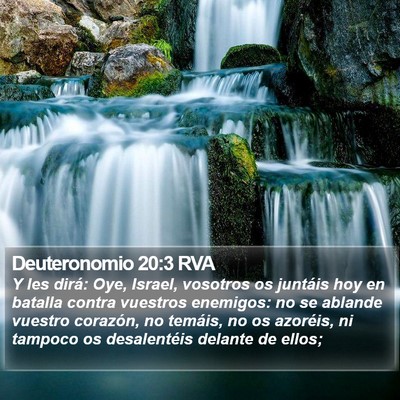 Deuteronomio 20:3 RVA Bible Verse Image