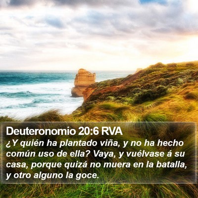 Deuteronomio 20:6 RVA Bible Verse Image