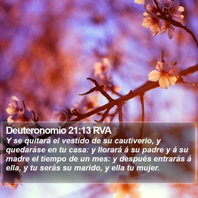 Deuteronomio 21:13 RVA Bible Verse Image