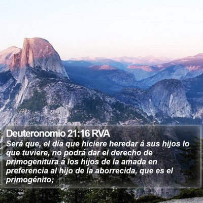 Deuteronomio 21:16 RVA Bible Verse Image
