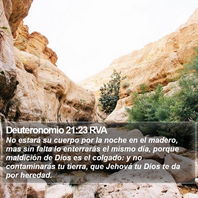 Deuteronomio 21:23 RVA Bible Verse Image