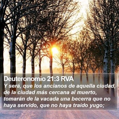 Deuteronomio 21:3 RVA Bible Verse Image