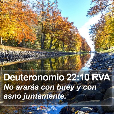 Deuteronomio 22:10 RVA Bible Verse Image