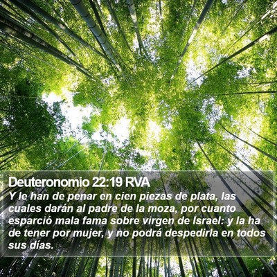 Deuteronomio 22:19 RVA Bible Verse Image