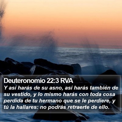 Deuteronomio 22:3 RVA Bible Verse Image