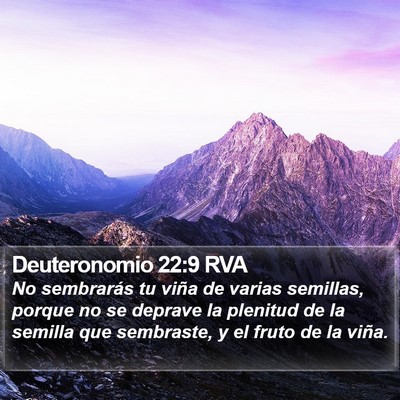 Deuteronomio 22:9 RVA Bible Verse Image