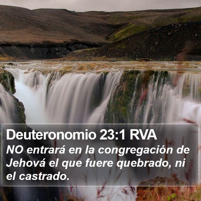 Deuteronomio 23:1 RVA Bible Verse Image