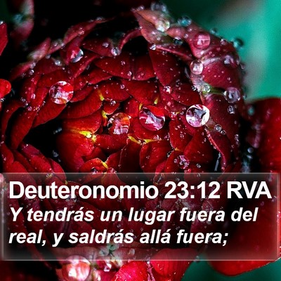 Deuteronomio 23:12 RVA Bible Verse Image